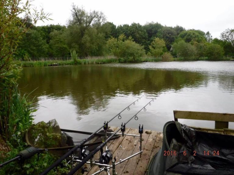 Southfield Fisheries