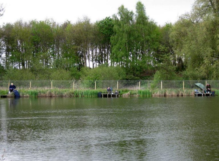 Southfield Fisheries