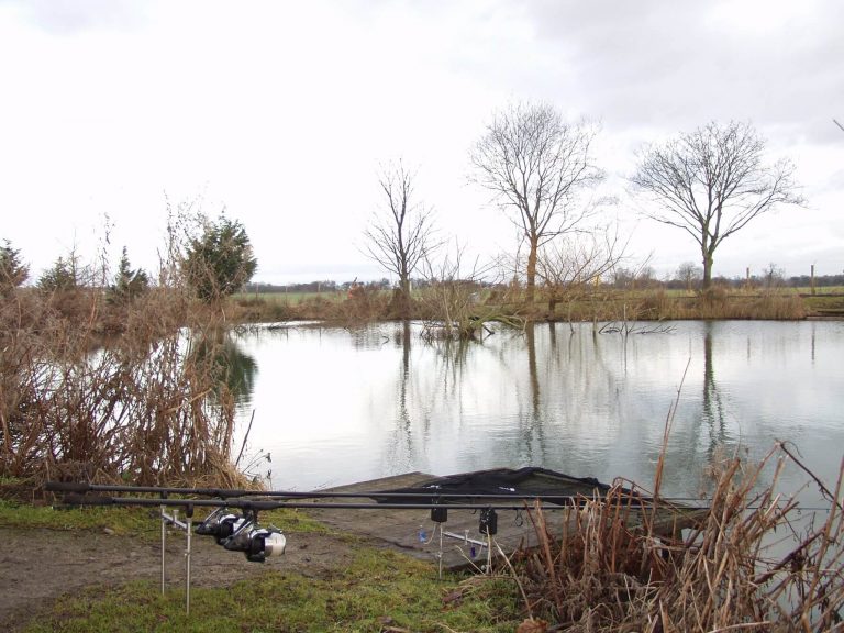 Southfield Fisheries